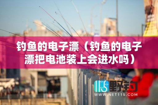 钓鱼的电子漂（钓鱼的电子漂把电池装上会进水吗）