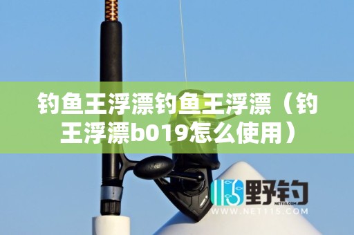 钓鱼王浮漂钓鱼王浮漂（钓王浮漂b019怎么使用）