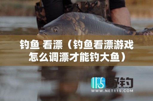 钓鱼 看漂（钓鱼看漂游戏怎么调漂才能钓大鱼）