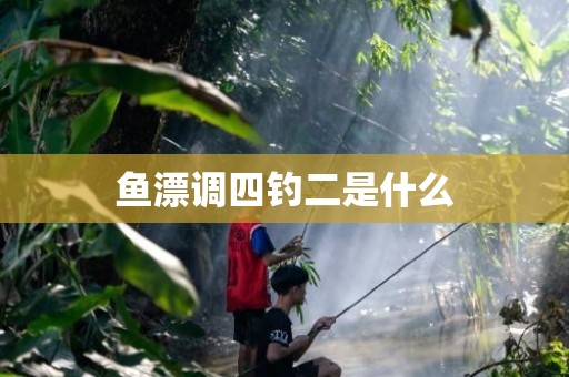 鱼漂调四钓二是什么