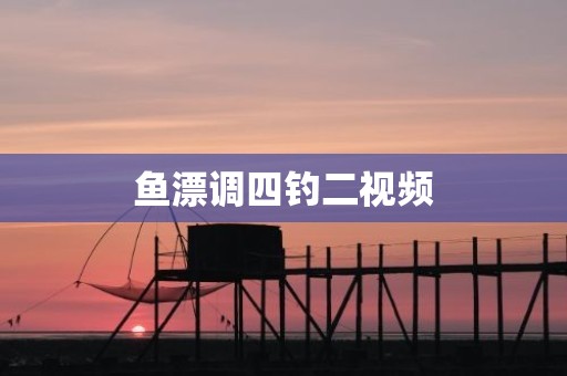 鱼漂调四钓二视频