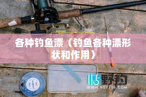 各种钓鱼漂（钓鱼各种漂形状和作用）