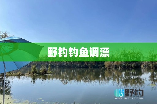 野钓钓鱼调漂