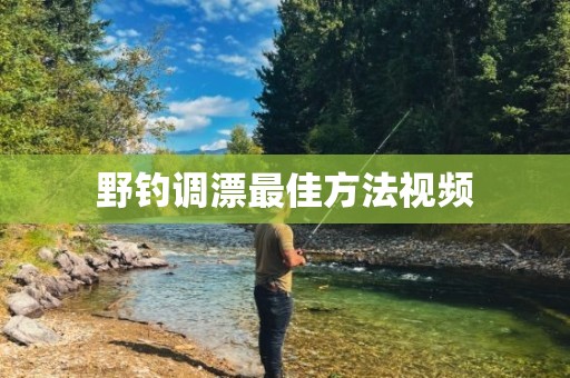 野钓调漂最佳方法视频