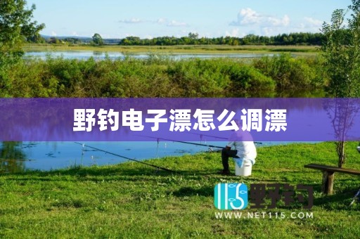 野钓电子漂怎么调漂