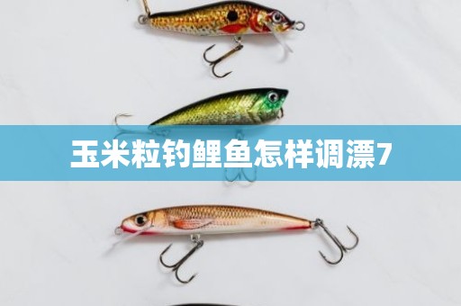 玉米粒钓鲤鱼怎样调漂7