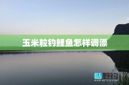 玉米粒钓鲤鱼怎样调漂