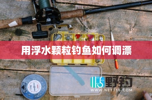 用浮水颗粒钓鱼如何调漂