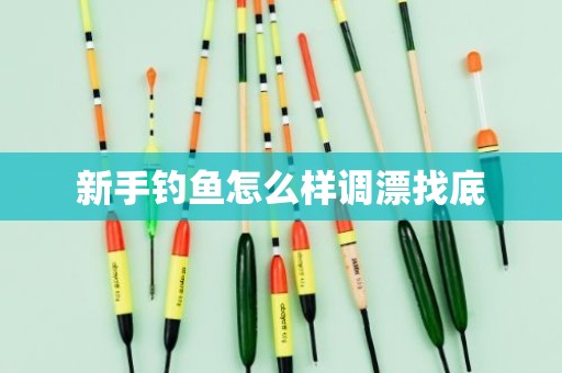 新手钓鱼怎么样调漂找底