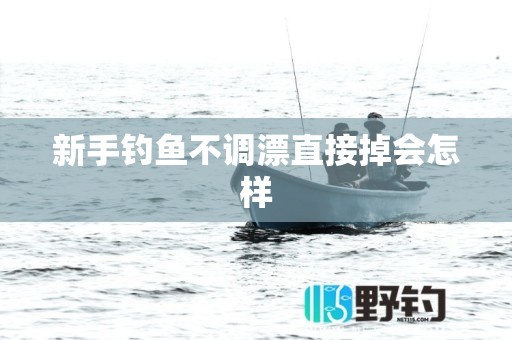 新手钓鱼不调漂直接掉会怎样