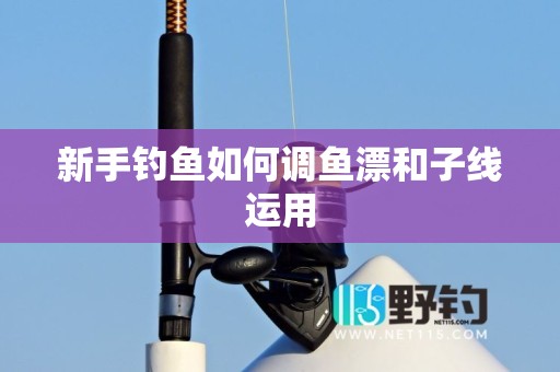 新手钓鱼如何调鱼漂和子线运用