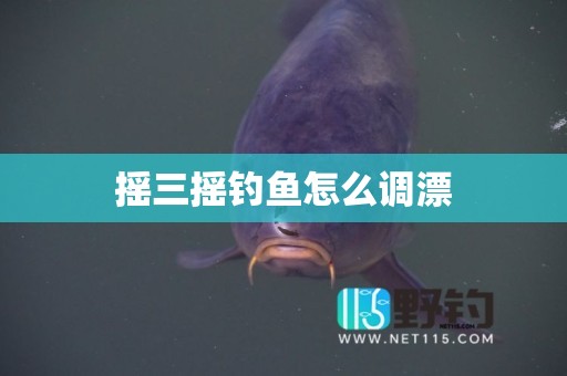 摇三摇钓鱼怎么调漂