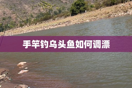 手竿钓乌头鱼如何调漂