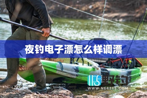 夜钓电子漂怎么样调漂