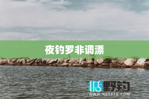 夜钓罗非调漂