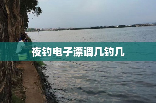 夜钓电子漂调几钓几