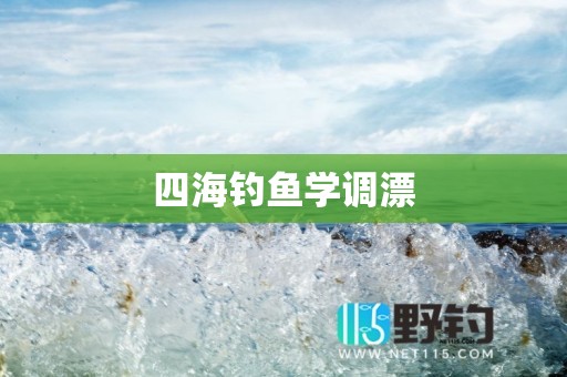 四海钓鱼学调漂