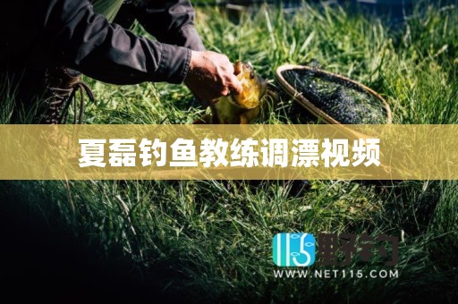 夏磊钓鱼教练调漂视频