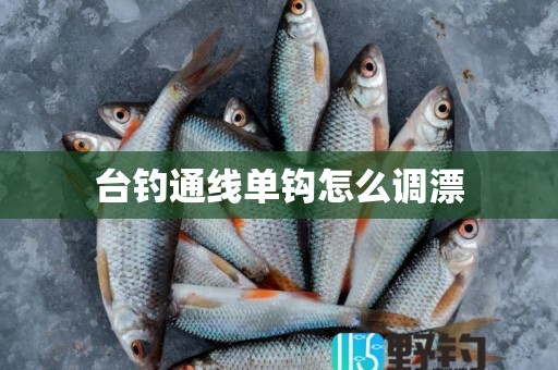 台钓通线单钩怎么调漂