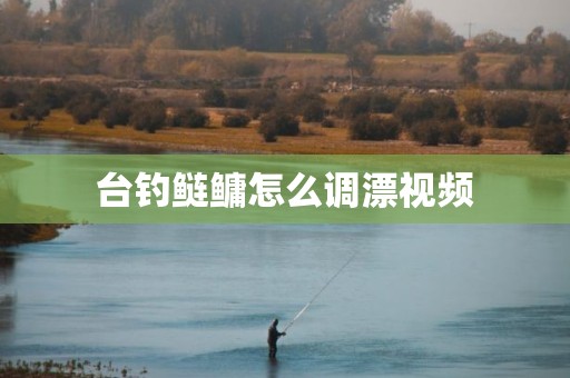 台钓鲢鳙怎么调漂视频