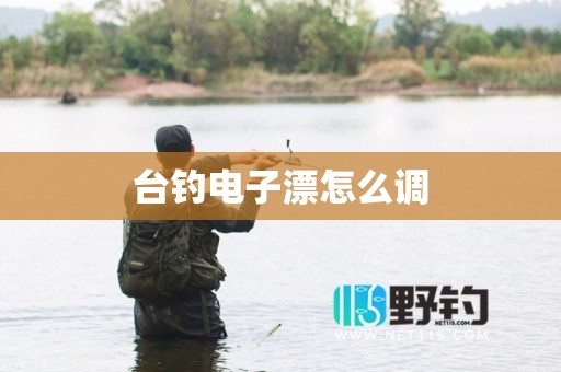 台钓电子漂怎么调
