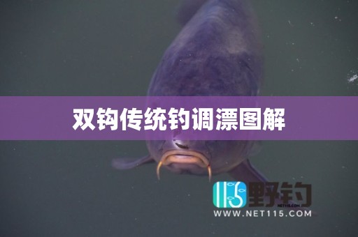 双钩传统钓调漂图解