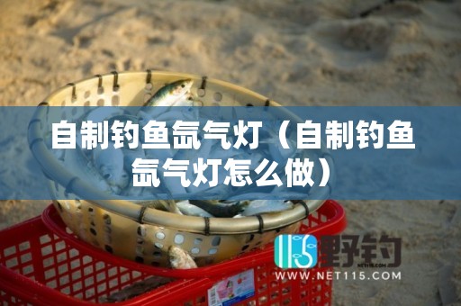 自制钓鱼氙气灯（自制钓鱼氙气灯怎么做）