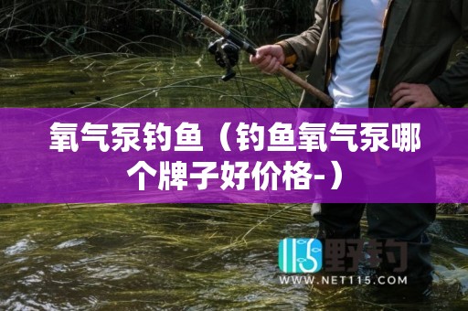氧气泵钓鱼（钓鱼氧气泵哪个牌子好价格-）