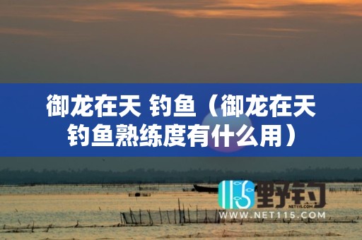 御龙在天 钓鱼（御龙在天钓鱼熟练度有什么用）