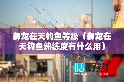 御龙在天钓鱼等级（御龙在天钓鱼熟练度有什么用）