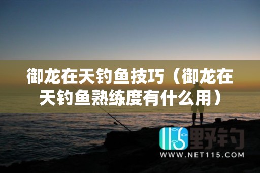 御龙在天钓鱼技巧（御龙在天钓鱼熟练度有什么用）