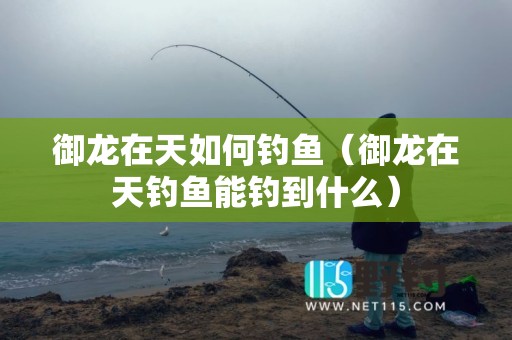 御龙在天如何钓鱼（御龙在天钓鱼能钓到什么）