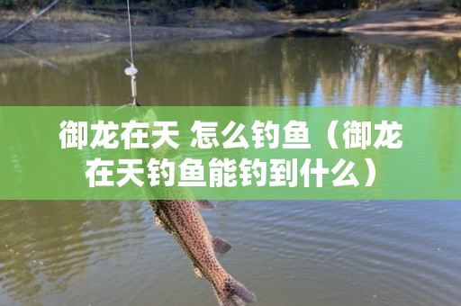 御龙在天 怎么钓鱼（御龙在天钓鱼能钓到什么）