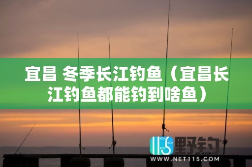 宜昌 冬季长江钓鱼（宜昌长江钓鱼都能钓到啥鱼）