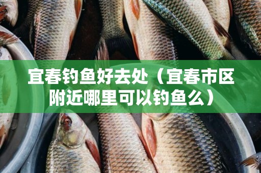 宜春钓鱼好去处（宜春市区附近哪里可以钓鱼么）