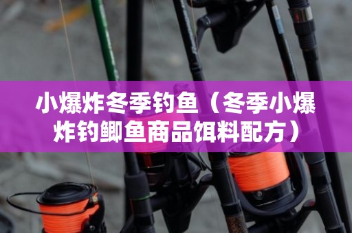 小爆炸冬季钓鱼（冬季小爆炸钓鲫鱼商品饵料配方）