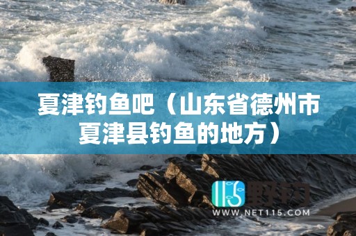 夏津钓鱼吧（山东省德州市夏津县钓鱼的地方）