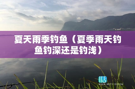 夏天雨季钓鱼（夏季雨天钓鱼钓深还是钓浅）