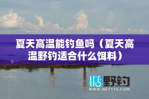 夏天高温能钓鱼吗（夏天高温野钓适合什么饵料）
