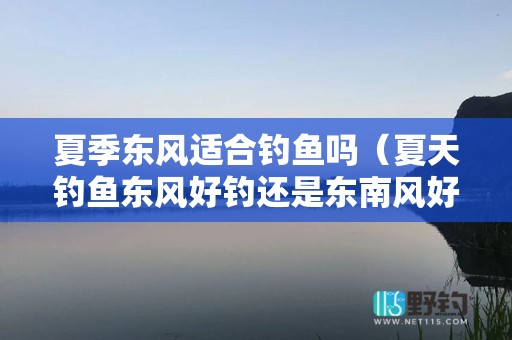 夏季东风适合钓鱼吗（夏天钓鱼东风好钓还是东南风好钓）