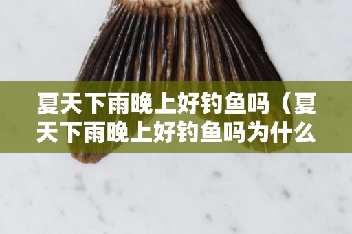 夏天下雨晚上好钓鱼吗（夏天下雨晚上好钓鱼吗为什么）