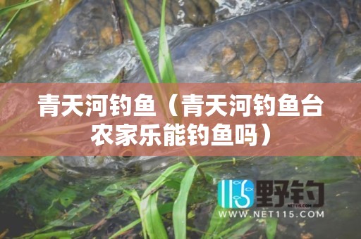 青天河钓鱼（青天河钓鱼台农家乐能钓鱼吗）
