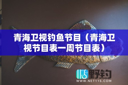 青海卫视钓鱼节目（青海卫视节目表一周节目表）