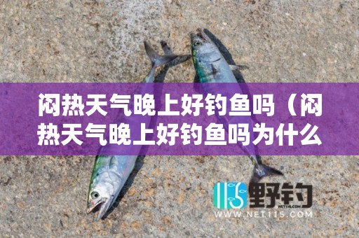 闷热天气晚上好钓鱼吗（闷热天气晚上好钓鱼吗为什么）
