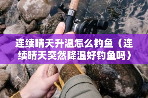 连续晴天升温怎么钓鱼（连续晴天突然降温好钓鱼吗）