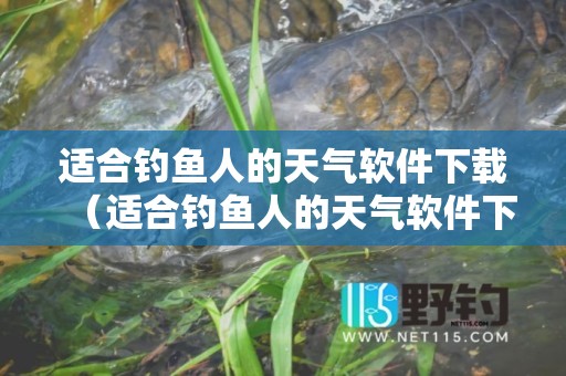 适合钓鱼人的天气软件下载（适合钓鱼人的天气软件下载苹果版）
