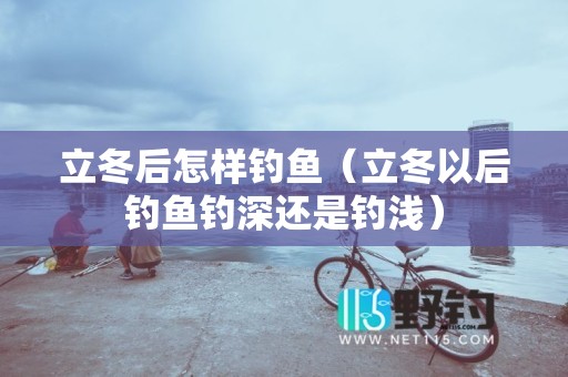 立冬后怎样钓鱼（立冬以后钓鱼钓深还是钓浅）