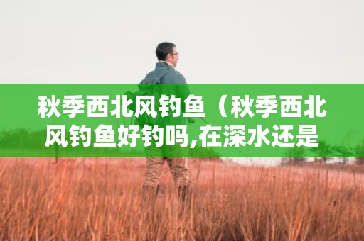 秋季西北风钓鱼（秋季西北风钓鱼好钓吗,在深水还是浅水）
