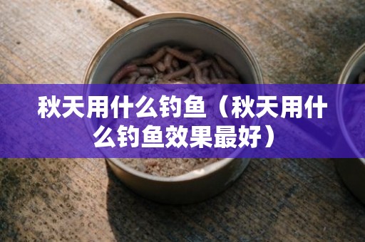 秋天用什么钓鱼（秋天用什么钓鱼效果最好）