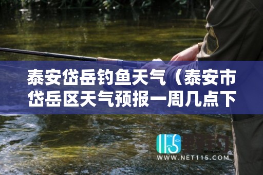 泰安岱岳钓鱼天气（泰安市岱岳区天气预报一周几点下大雨）